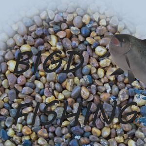 Meet your Posher, Bigd